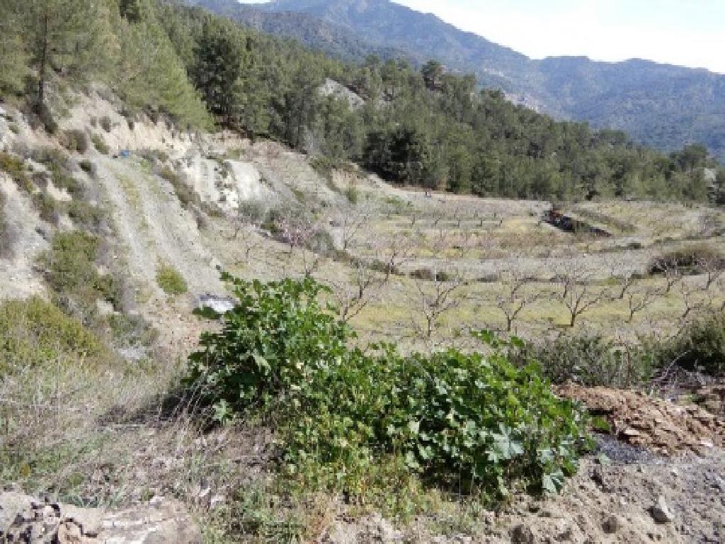 Field-Kato Mylos-PR42124