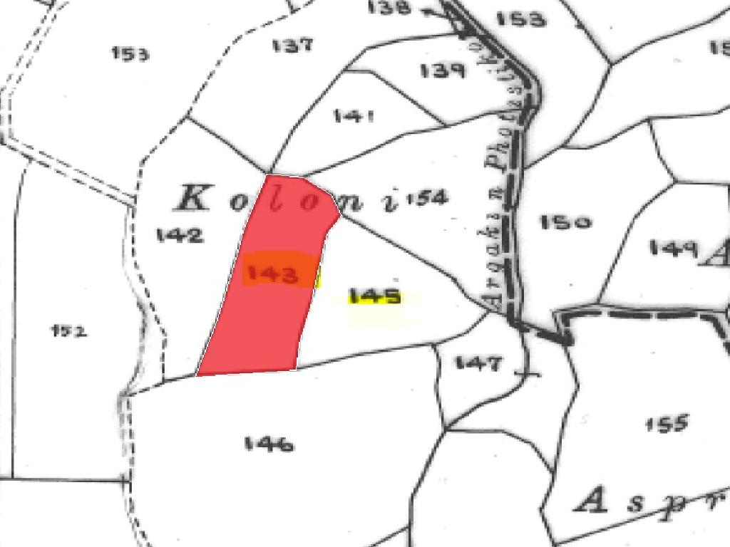 Field-Stroumpi-PR42626