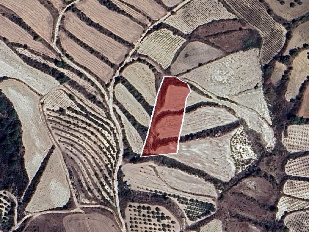 Field-Stroumpi-PR42626
