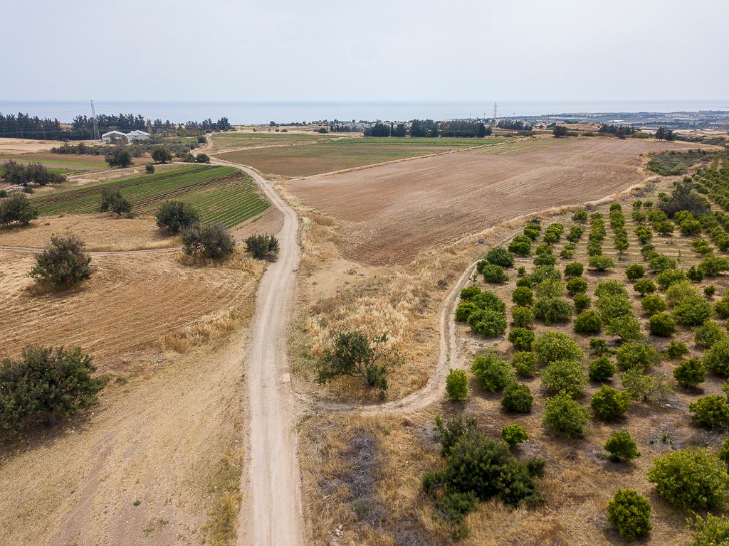 Field (Shares) - Kouklia, Paphos