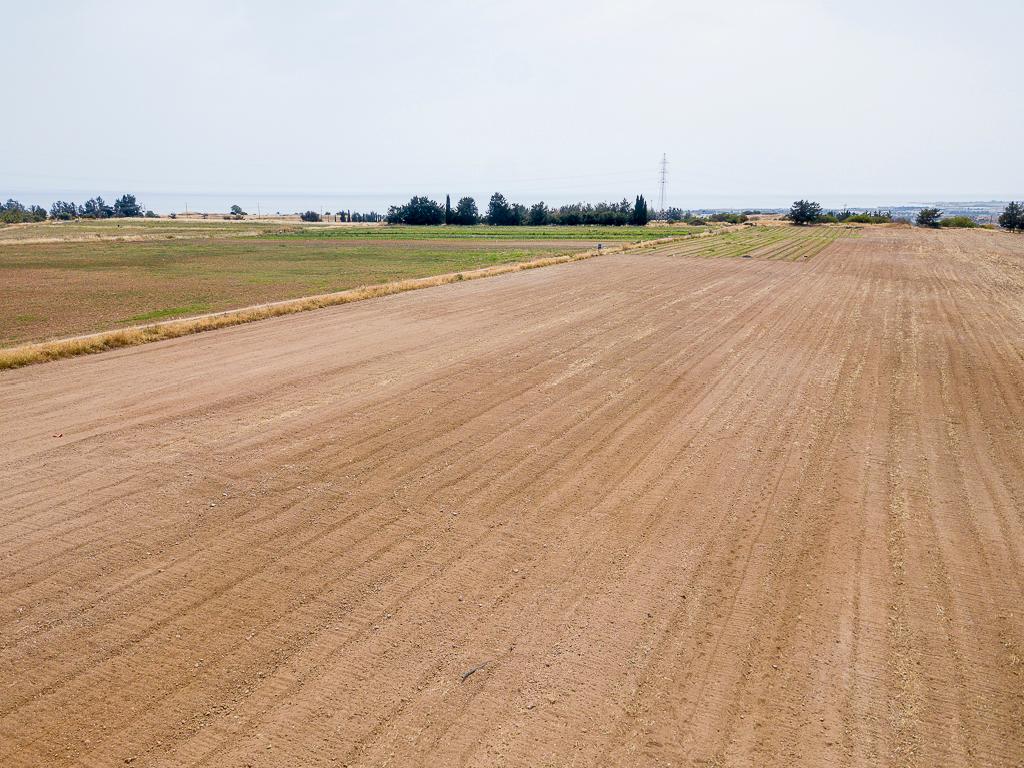 Field-Kouklia-PR42957