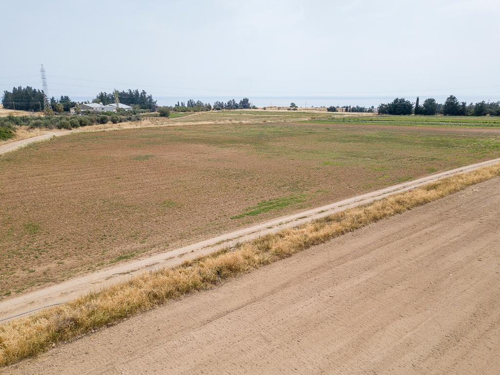 Field-Kouklia-PR42957