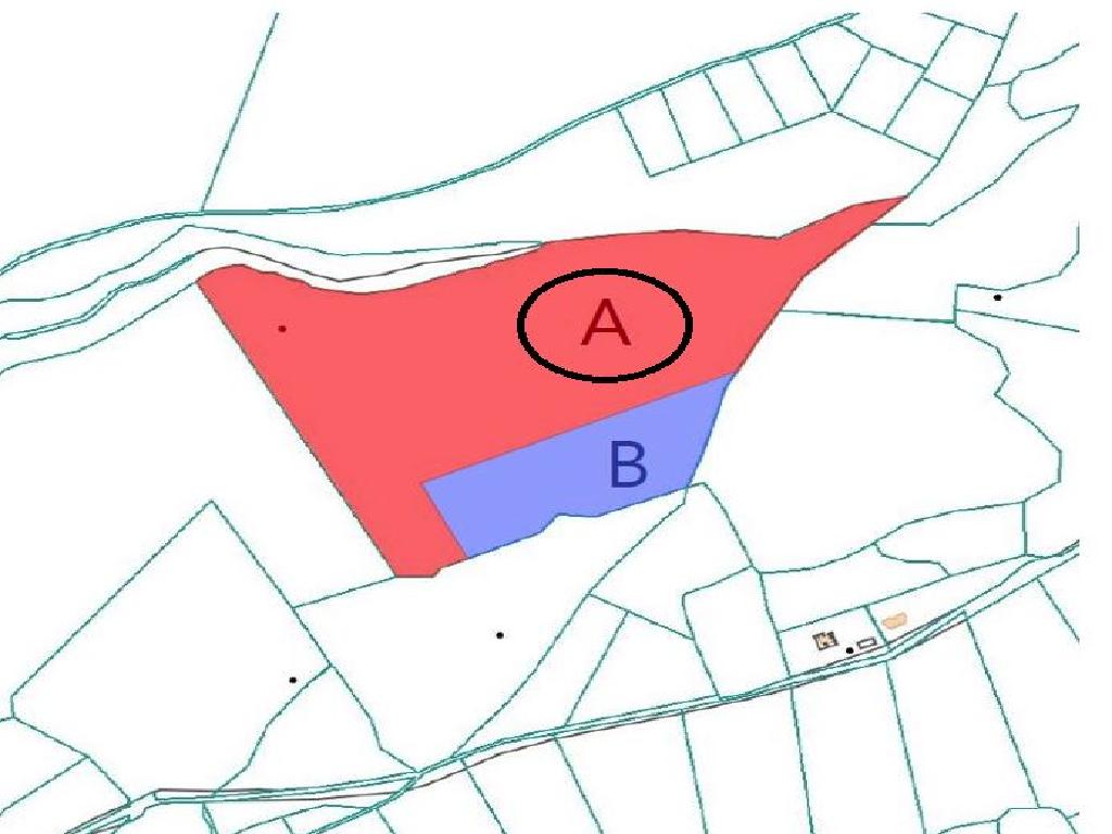 Field-Kouklia-PR42957