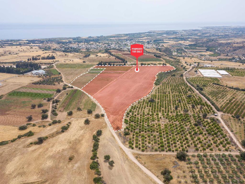Field (Shares) - Kouklia, Paphos