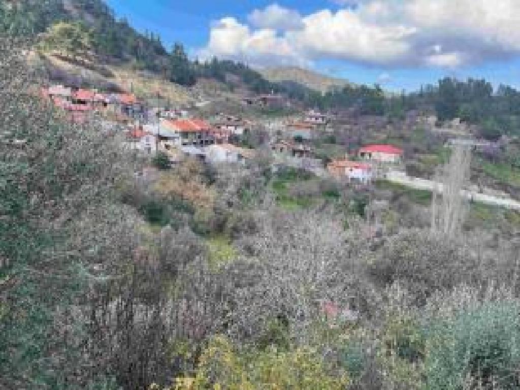 Field-Agia Eirini-PR43024