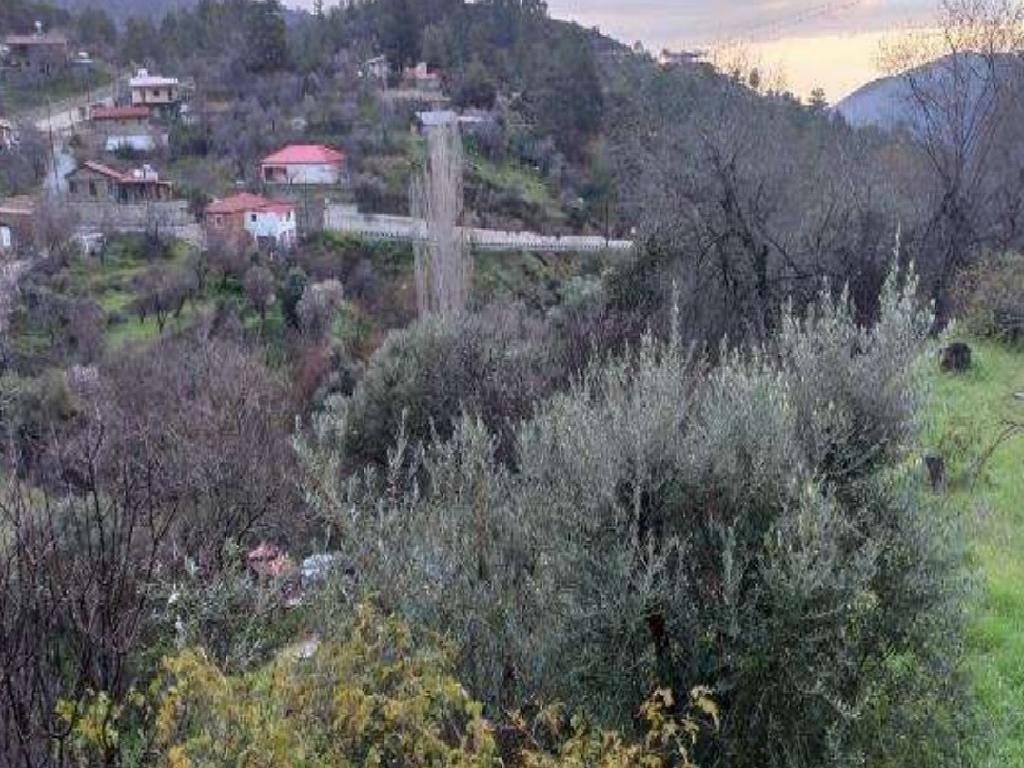 Field-Agia Eirini-PR43024