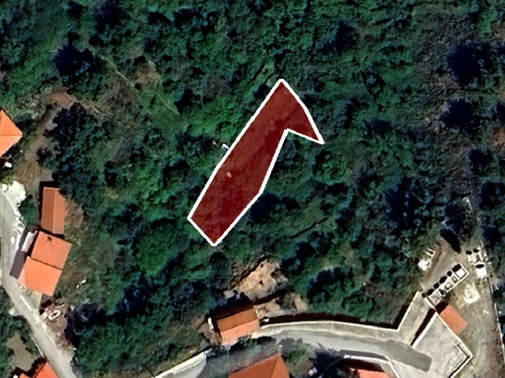 Field-Agia Eirini-PR43024
