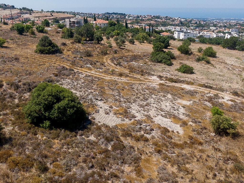Field-Konia-PR45965