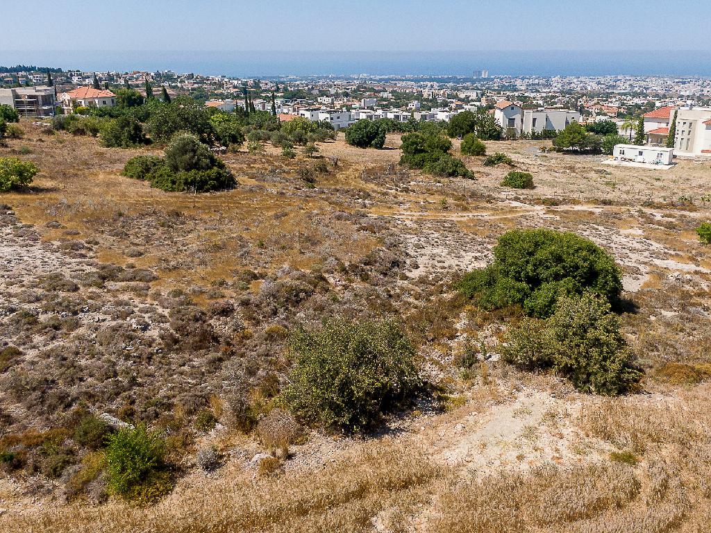 Field-Konia-PR45965