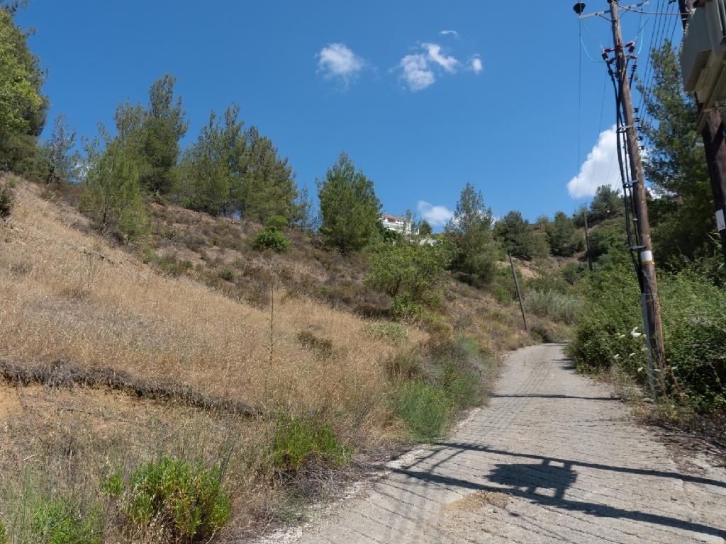 Field-Kakopetria-PR10243