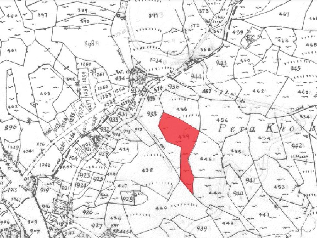 Field-Kakopetria-PR10243