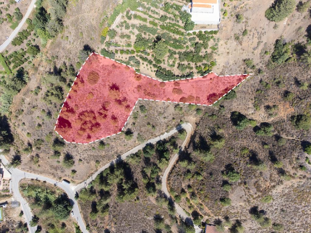 Field-Kakopetria-PR10243