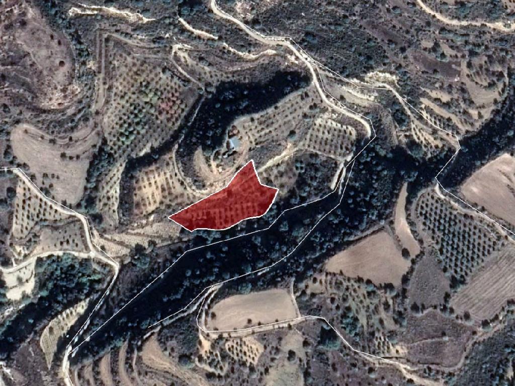 Field-Psathi-PR32768