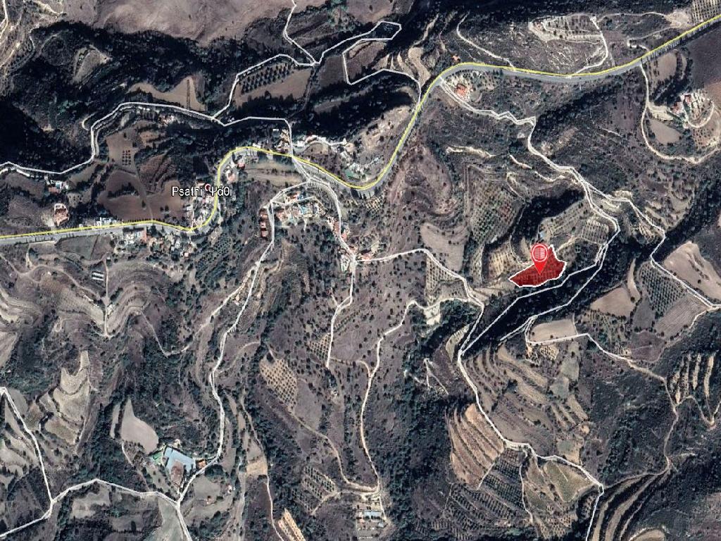 Field-Psathi-PR32768