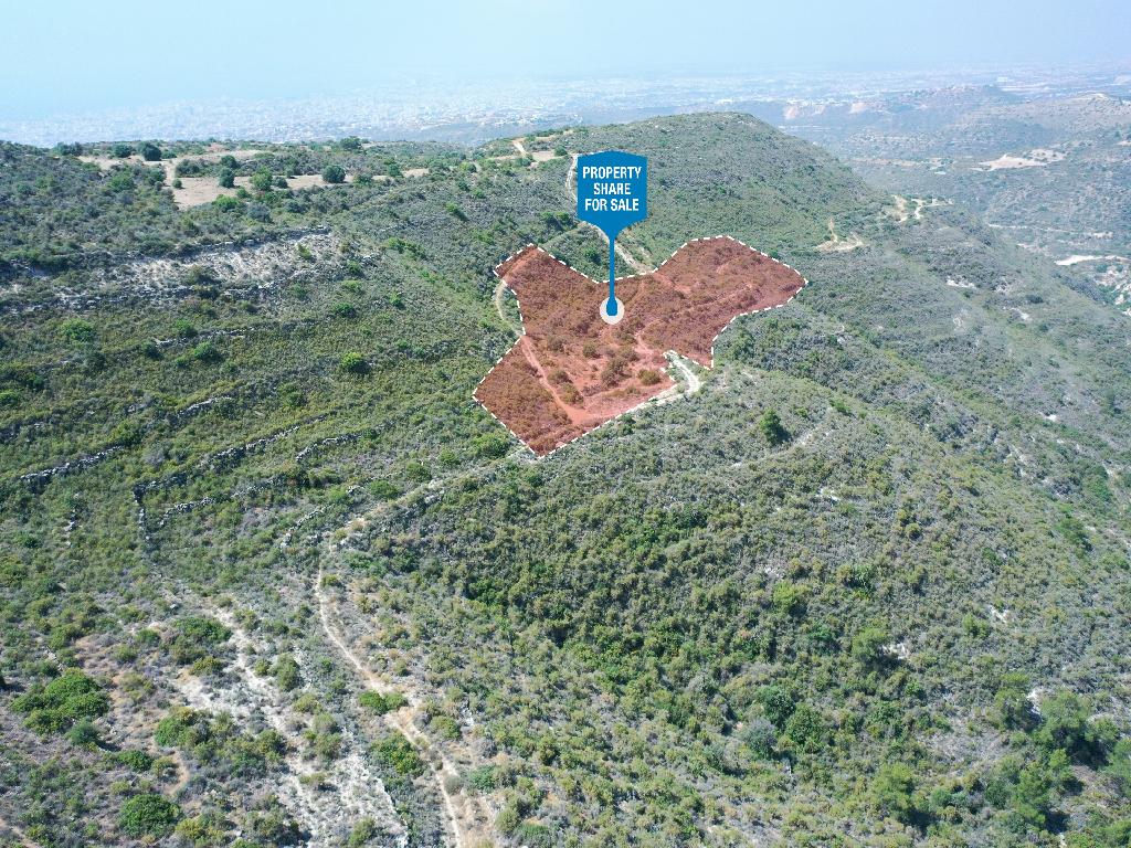 Field-Agios Athanasios-PR35847