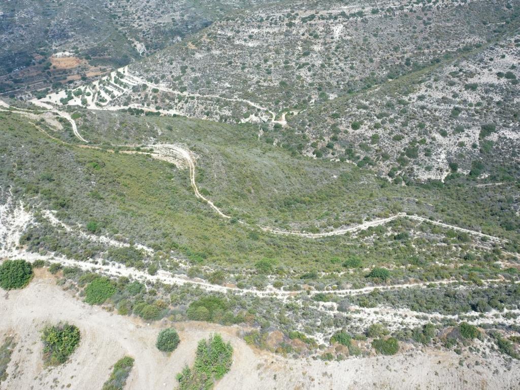 Field-Agios Athanasios-PR35847