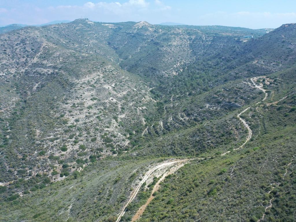 Field-Agios Athanasios-PR35847