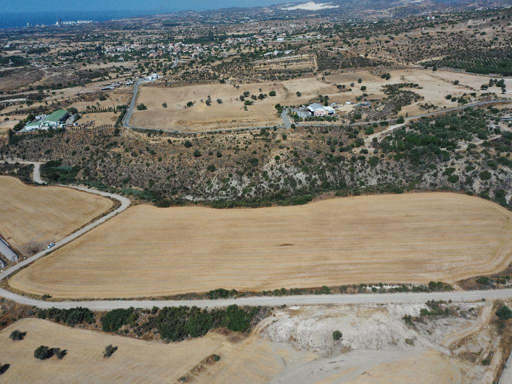 Field - Maroni, Larnaka