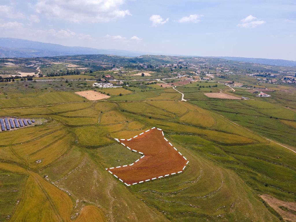 Field (Share) - Kathikas, Paphos