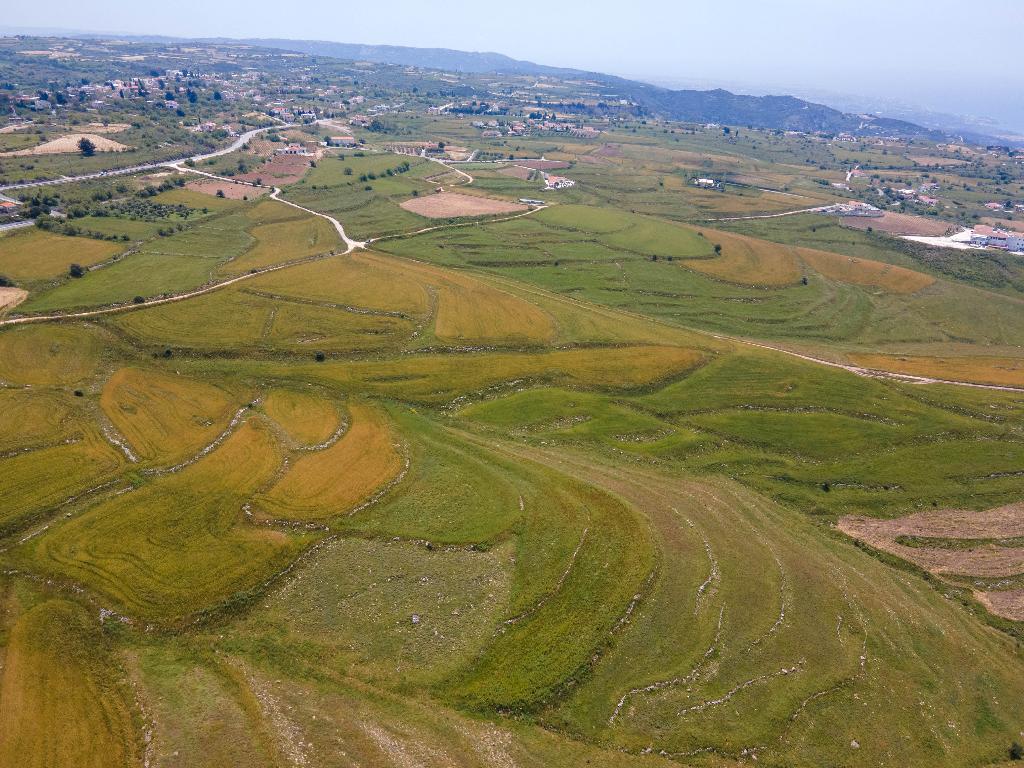 Field (Share) - Kathikas, Paphos