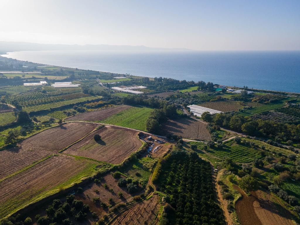 Field - Gialia, Paphos