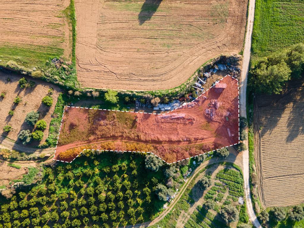 Field - Gialia, Paphos