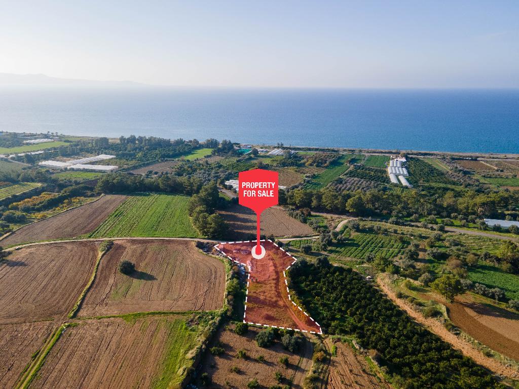 Field - Gialia, Paphos