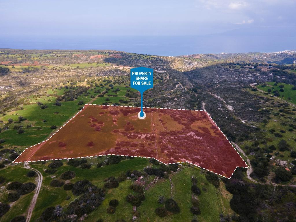 Field (Share) - Neo Chorio, Paphos