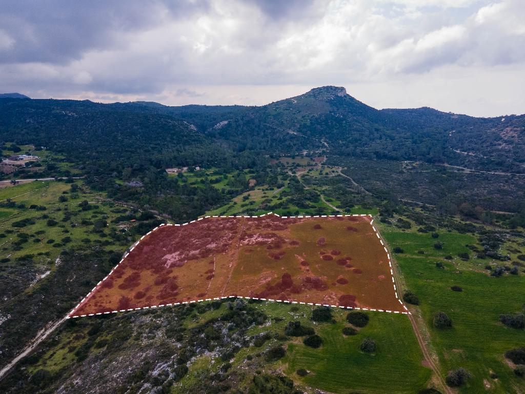 Field (Share) - Neo Chorio, Paphos