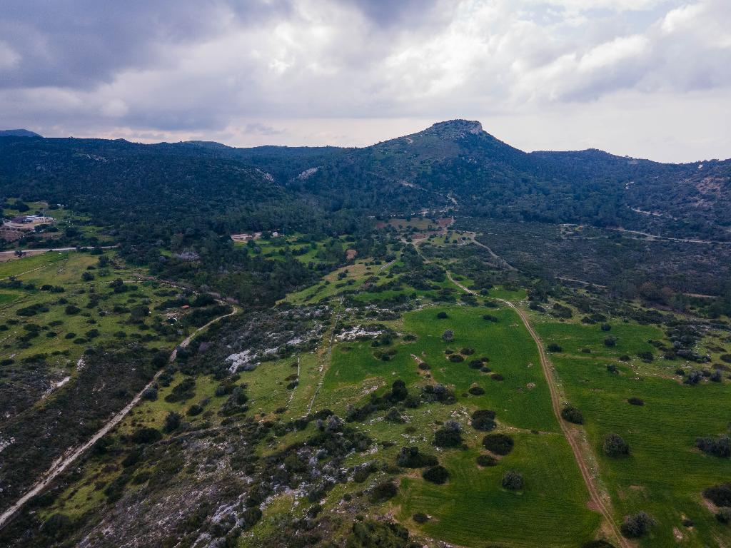 Field (Share) - Neo Chorio, Paphos