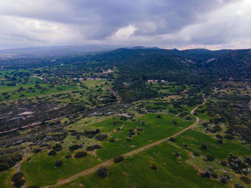 Field (Share) - Neo Chorio, Paphos