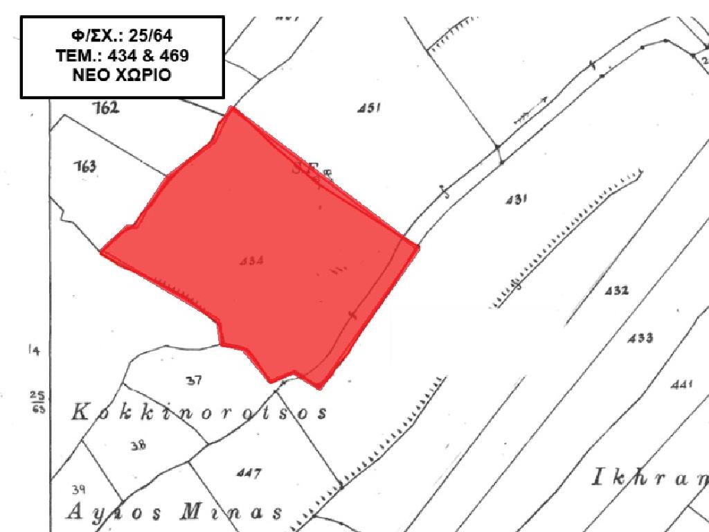 Field-New Chorio-PR37473