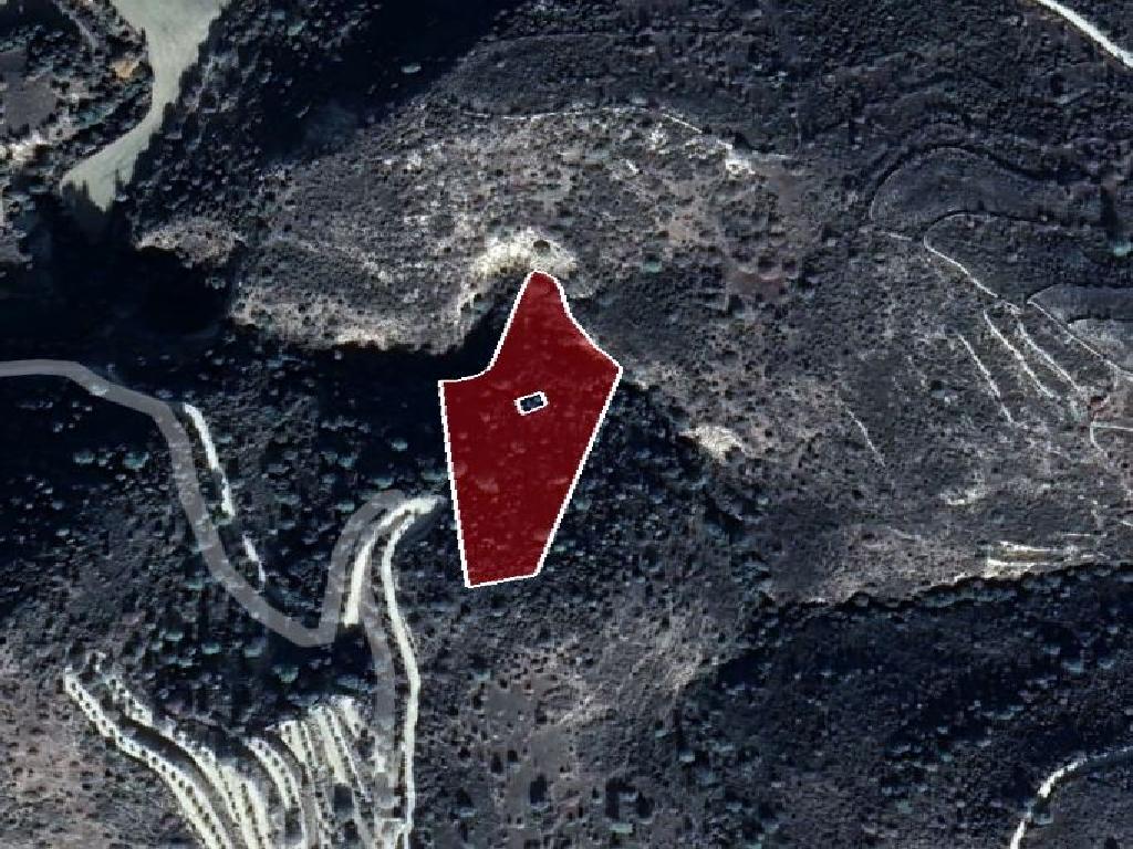 Field-Dora-PR37934