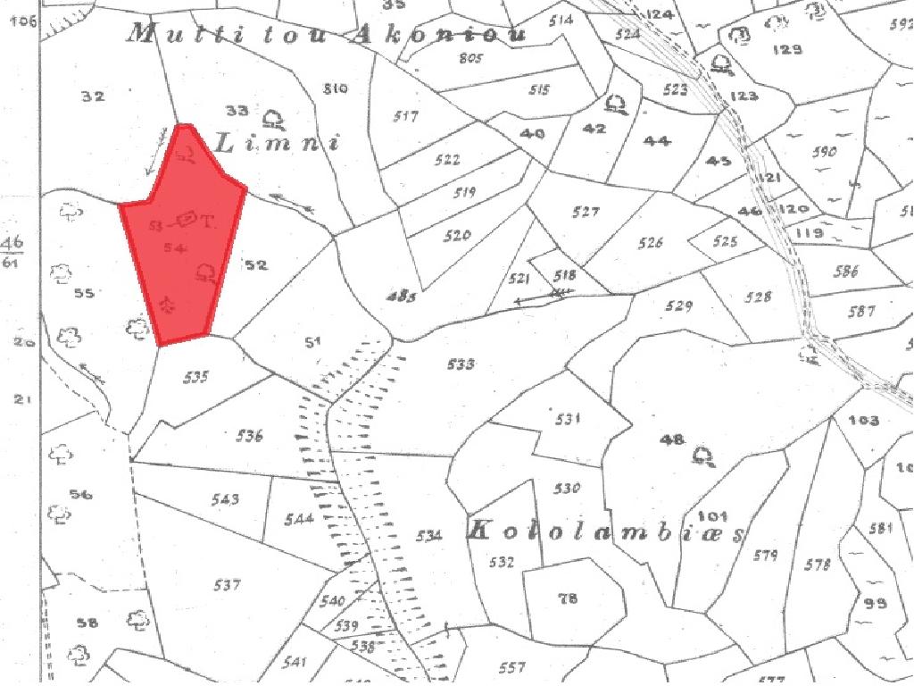 Field-Dora-PR37934