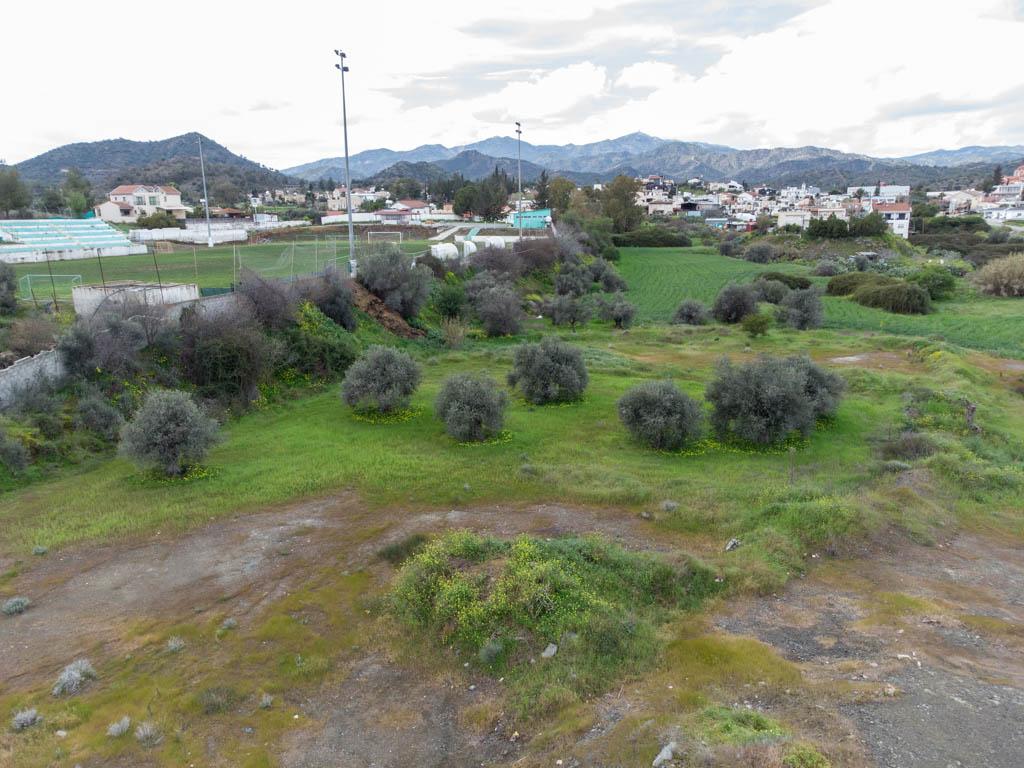 Field (Share) - Lythrodontas, Nicosia