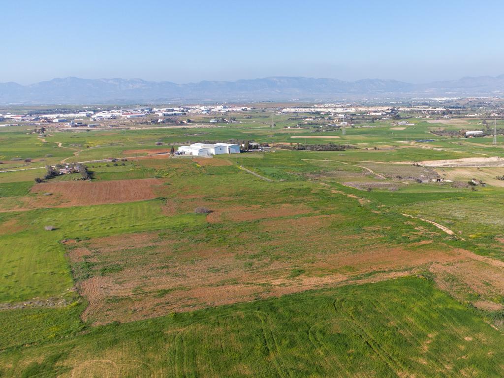 Field - Paleometocho, Nicosia