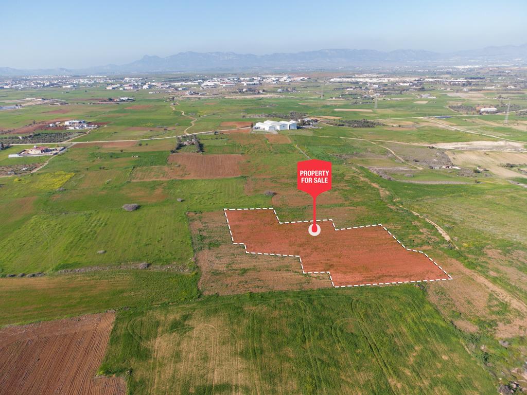 Field - Paleometocho, Nicosia