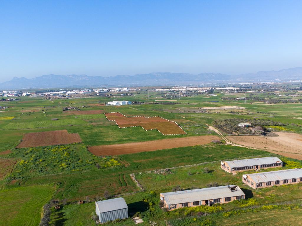 Field - Paleometocho, Nicosia