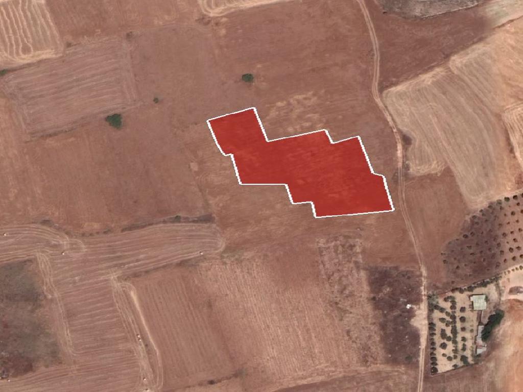 Field - Paleometocho, Nicosia