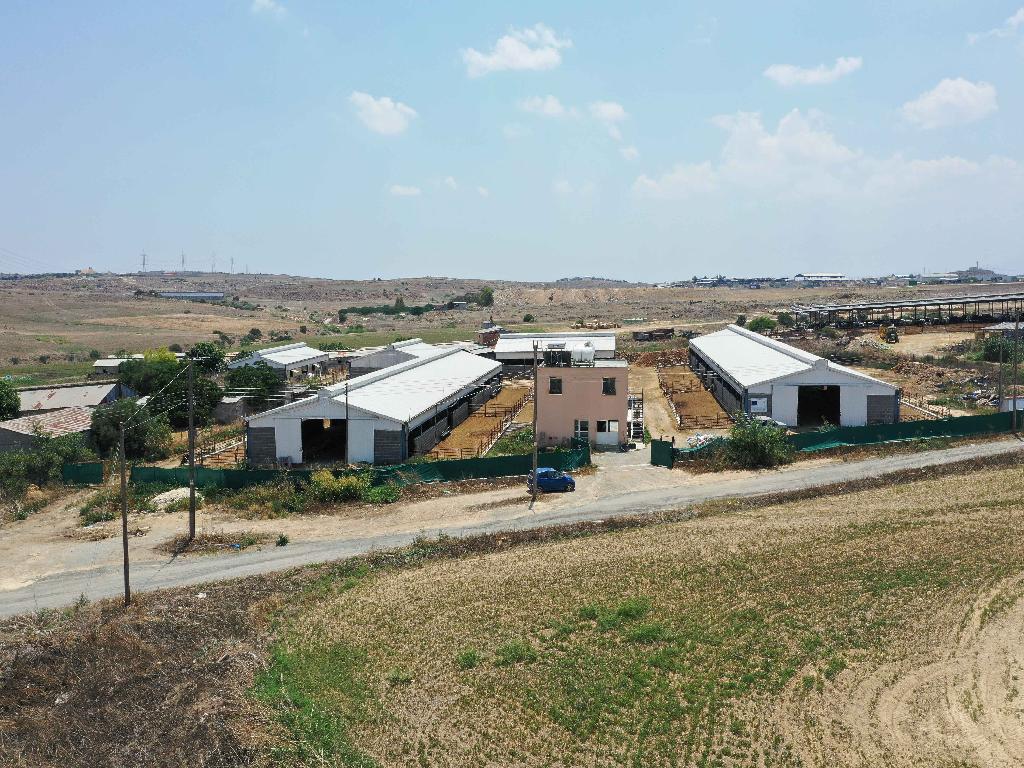 Farm - Geri, Nicosia