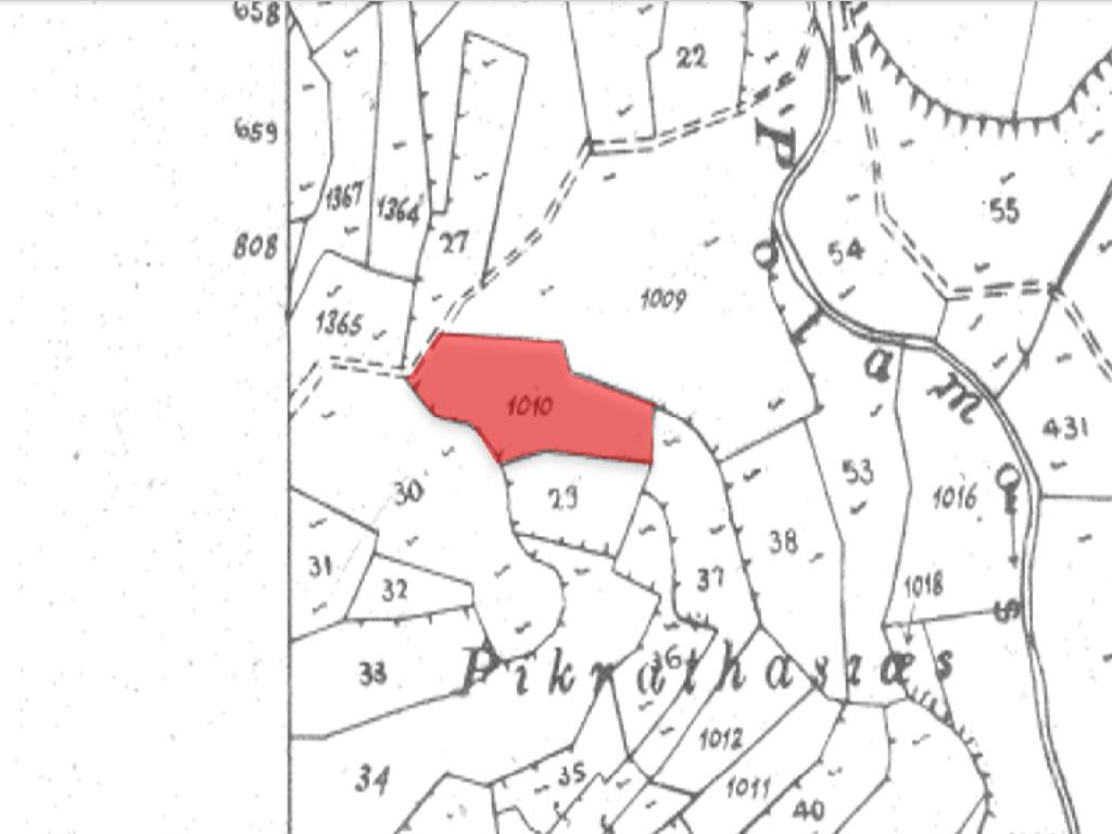 Field-Koilani-PR39284