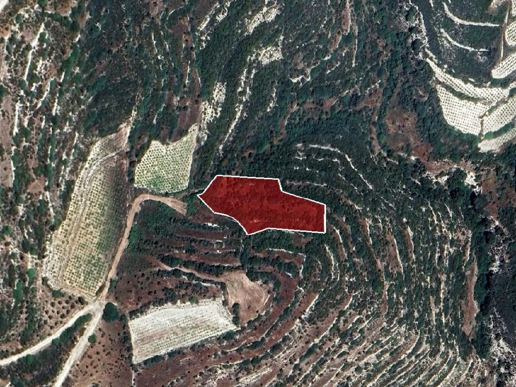 Field-Koilani-PR39284