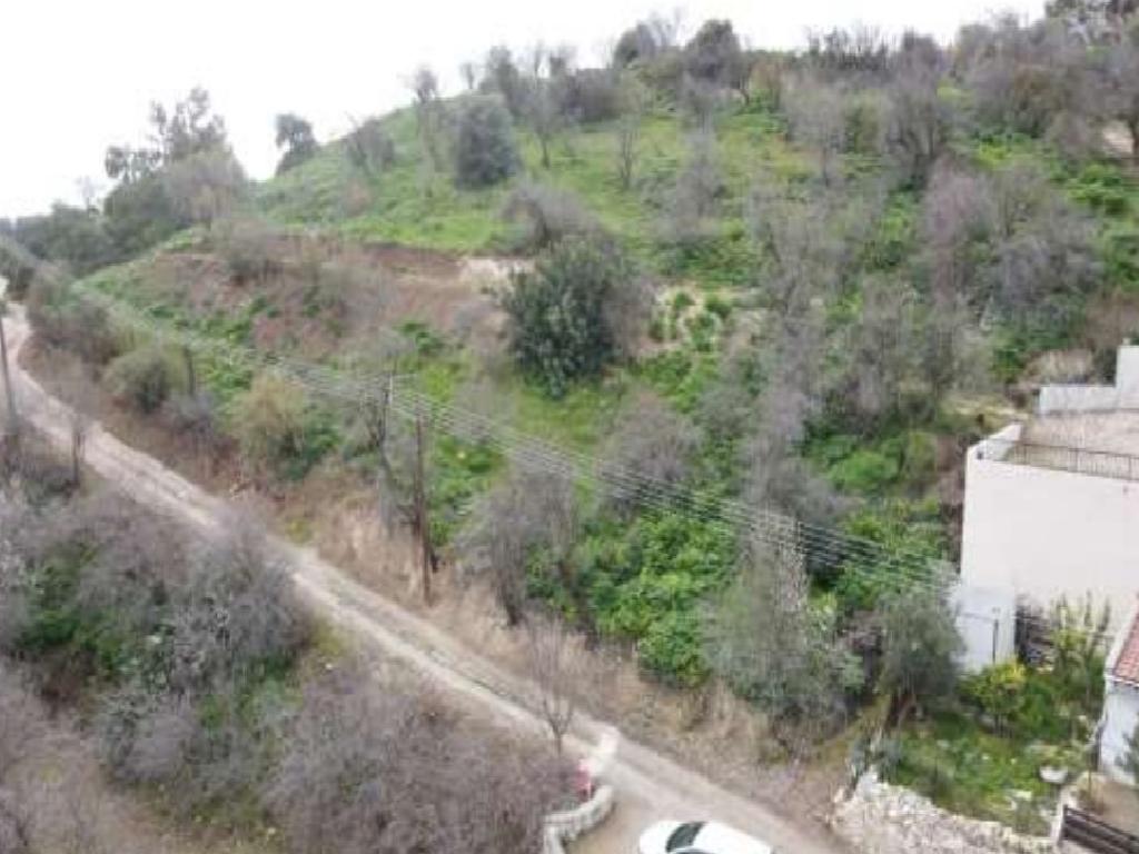 Field - Episkopi, Paphos