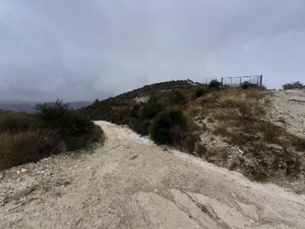Field - Kato Drys, Larnaca