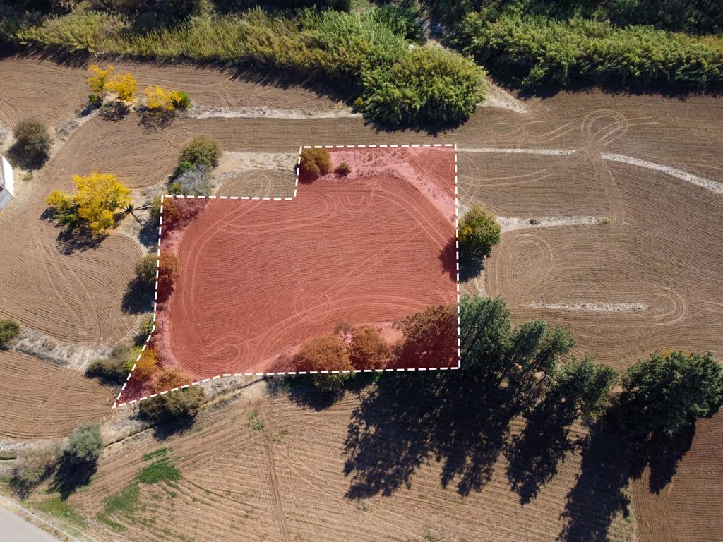 Field-Psevdas-PR40472