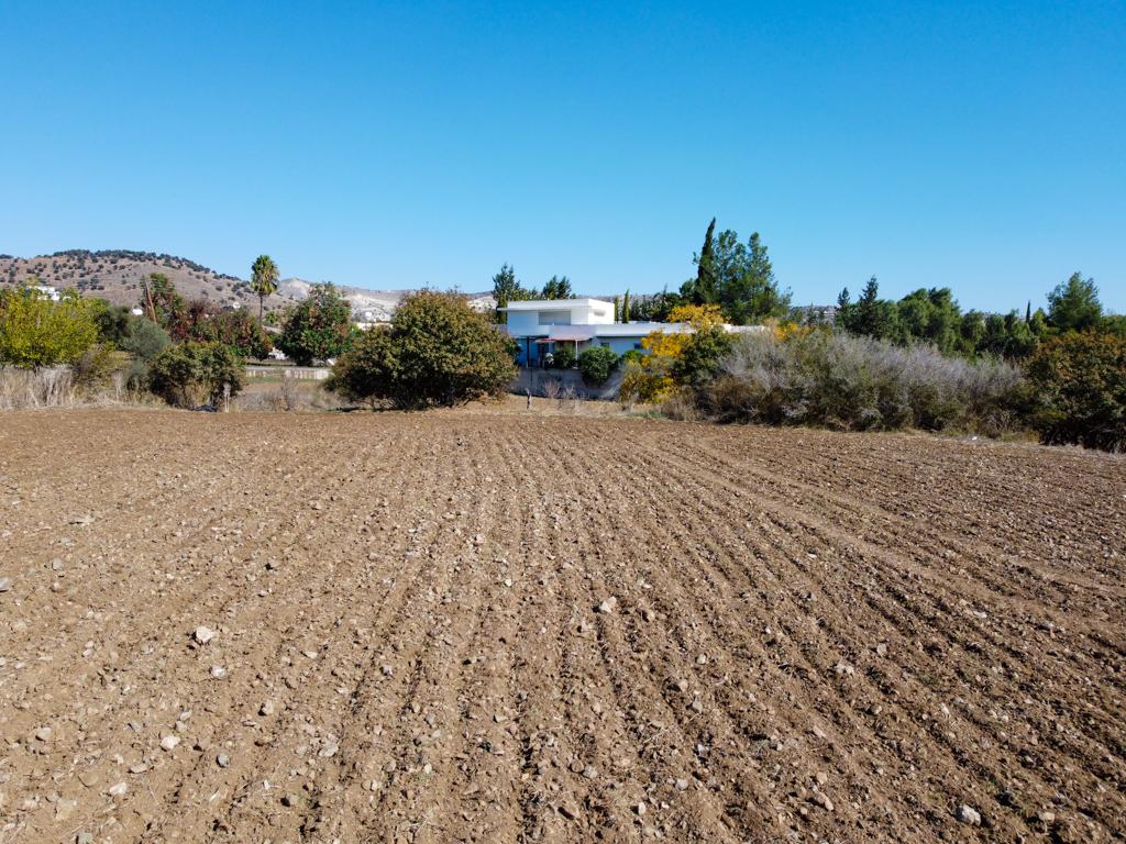 Field-Psevdas-PR40472
