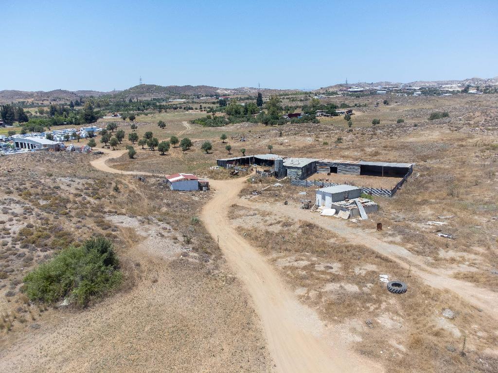 Χωράφι-Λυμπία-PR40570