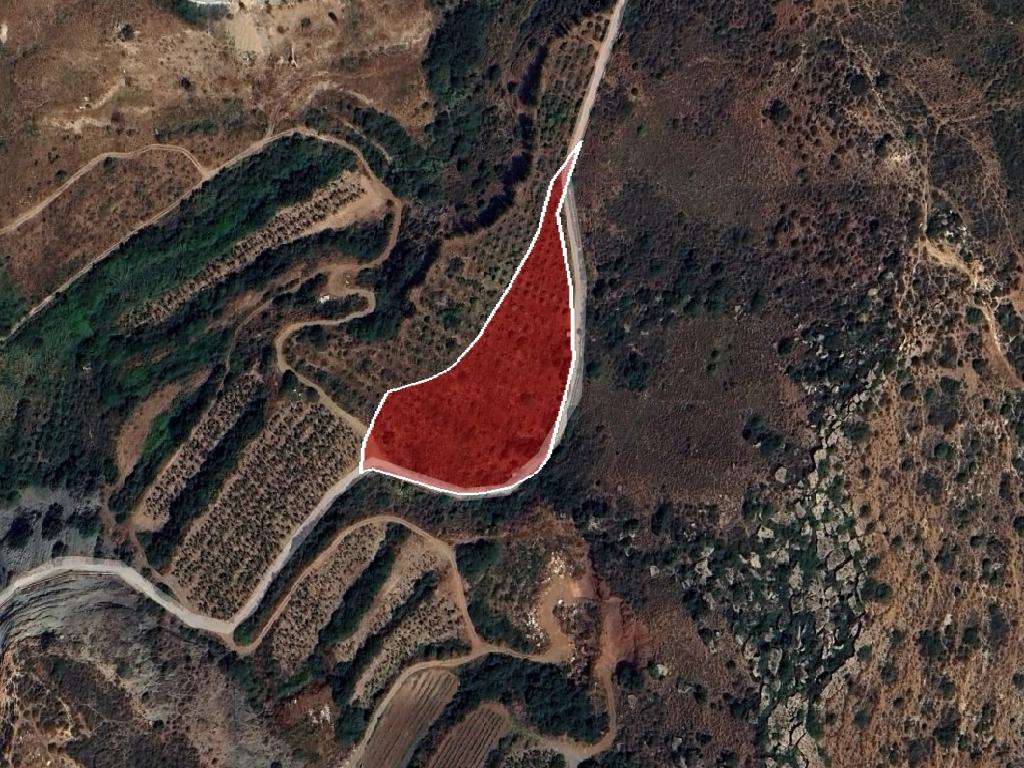 Field-Pegeia-PR41077