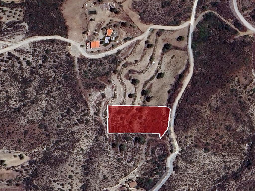 Field-Lageia-PR41593