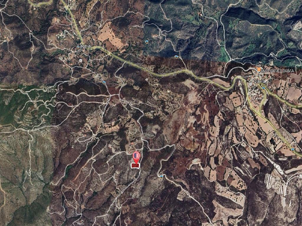 Field-Lageia-PR41593